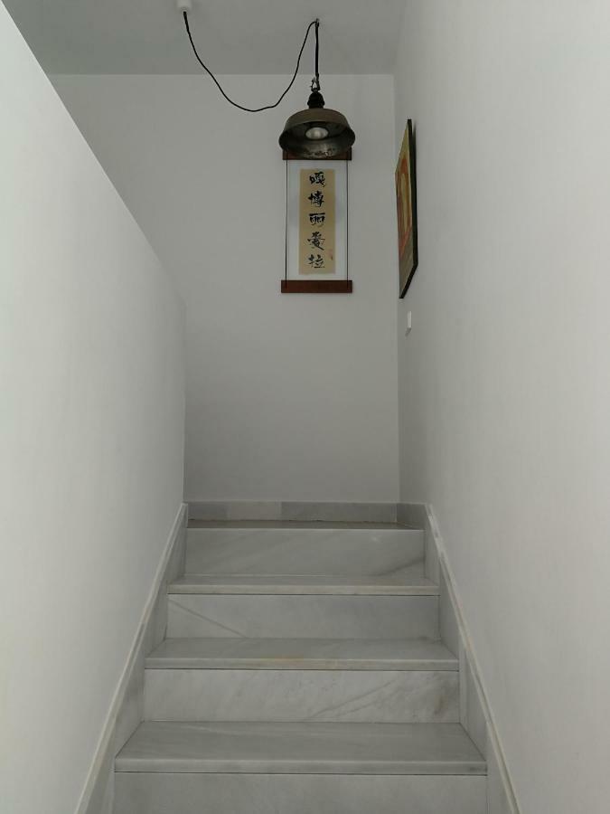 Casa Euphorbia