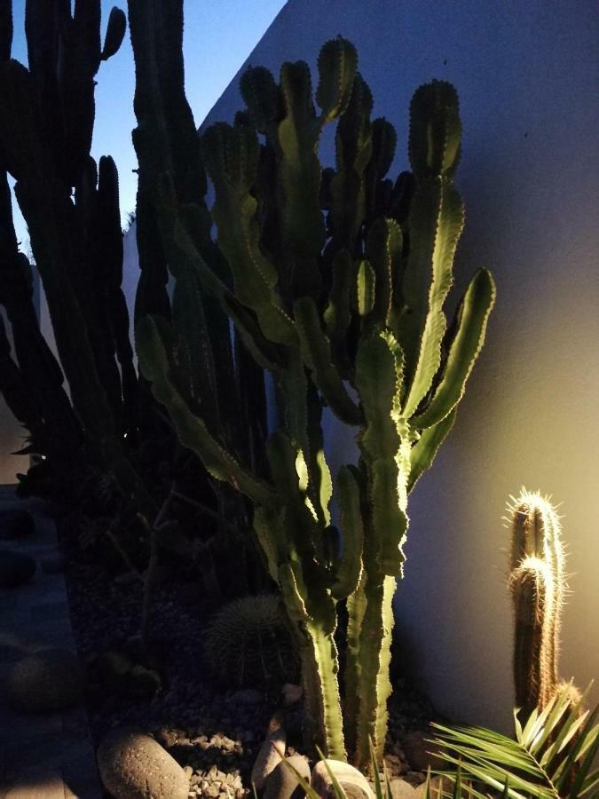 Casa Euphorbia Holiday home Las Negras
